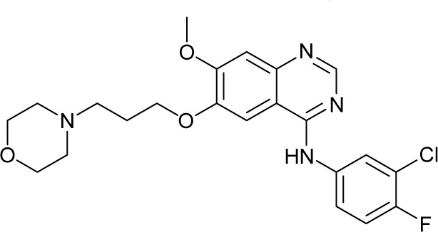 graphic file with name dddt-10-3867Fig2.jpg