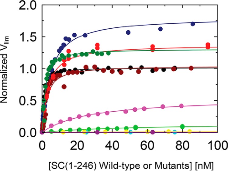 Figure 10.