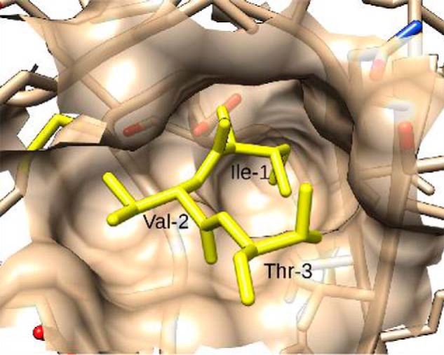 Figure 11.