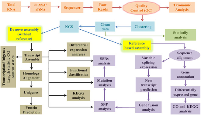 Figure 1