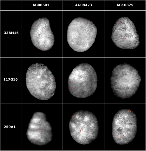 Figure 2.