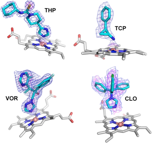 FIGURE 3.