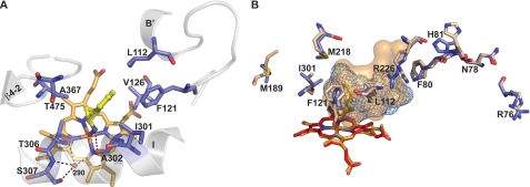 FIGURE 4.