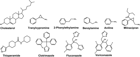 FIGURE 1.