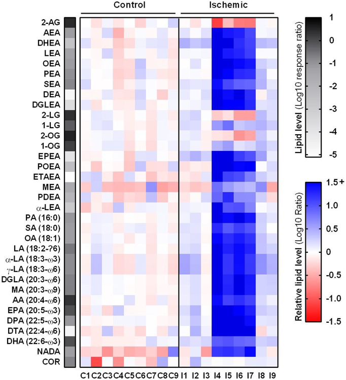 Figure 3 |