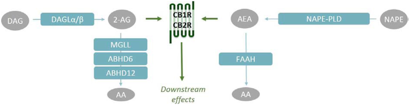 Figure 1 |