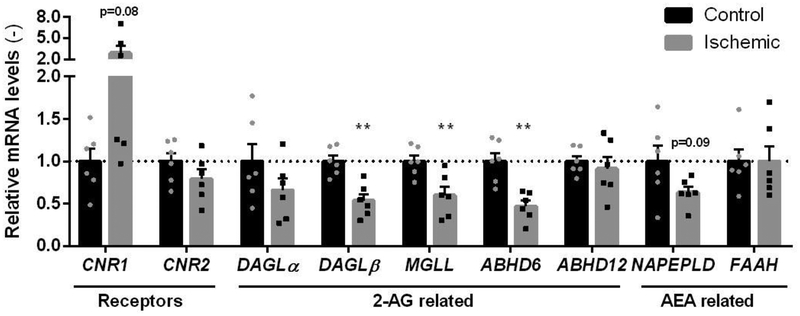 Figure 2 |