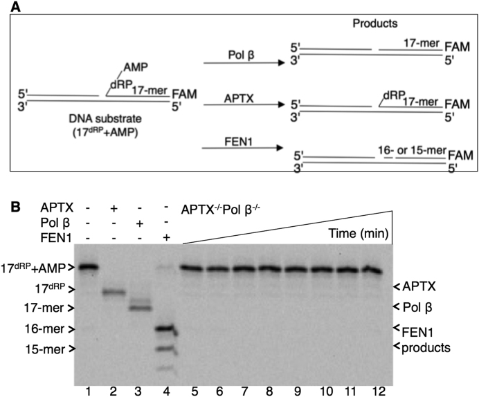 Figure 7.