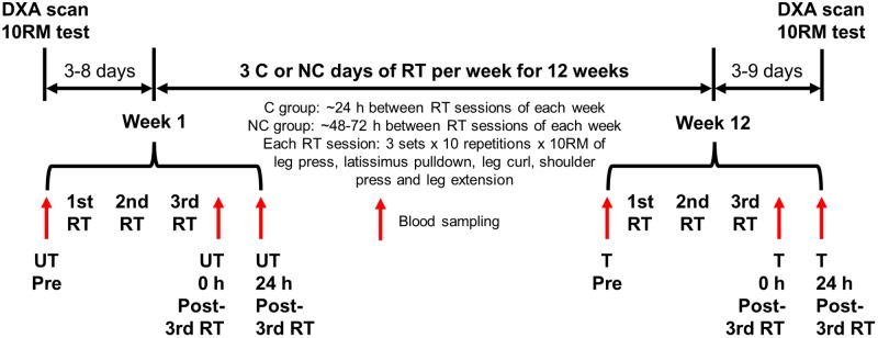 FIGURE 1