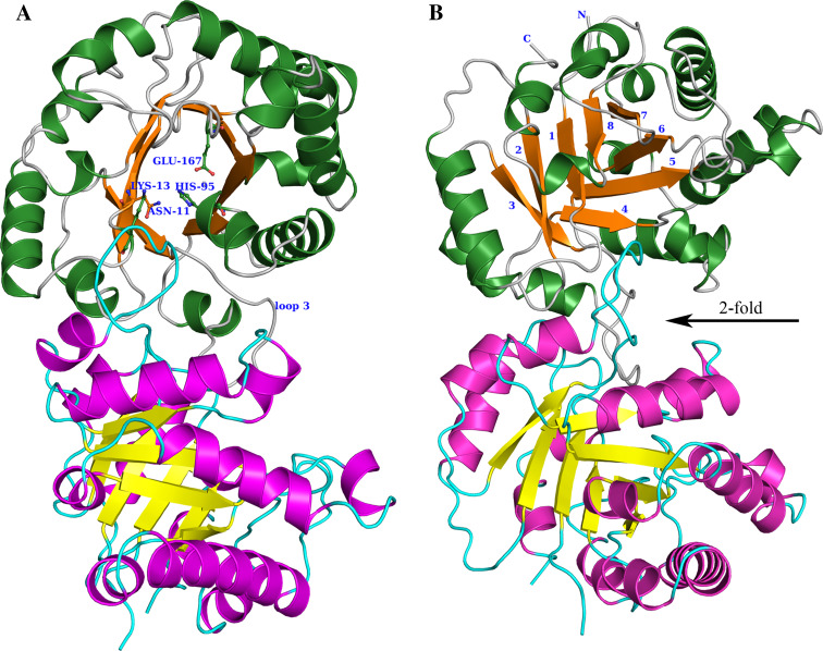 Fig. 5