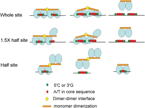 Figure 7.