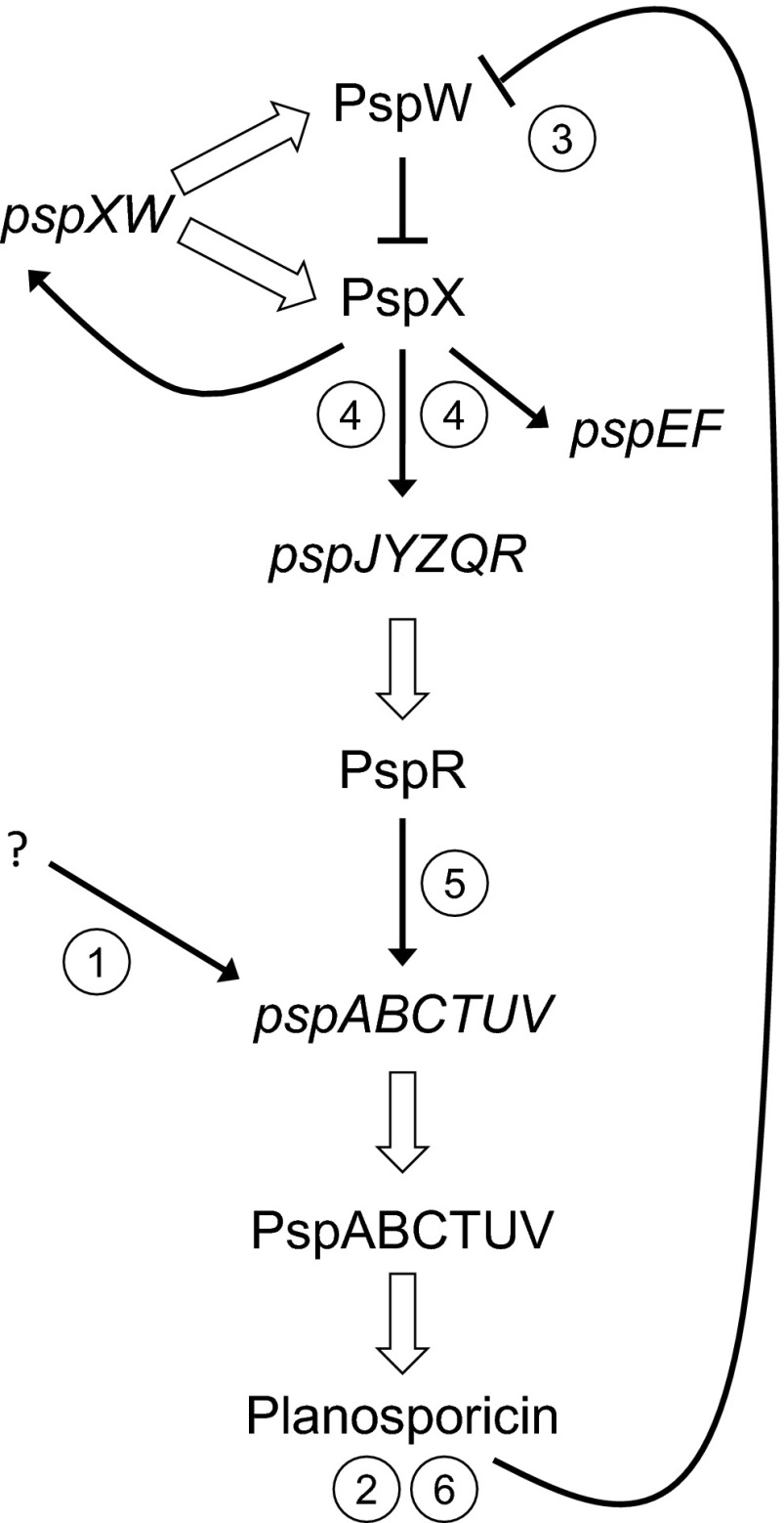 Fig. 12.