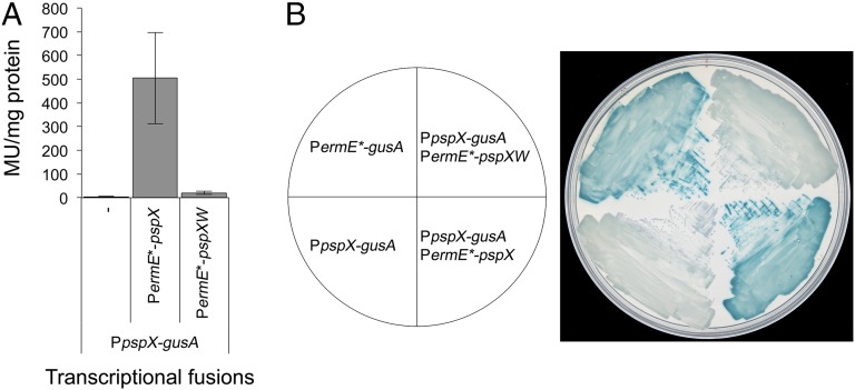 Fig. 7.