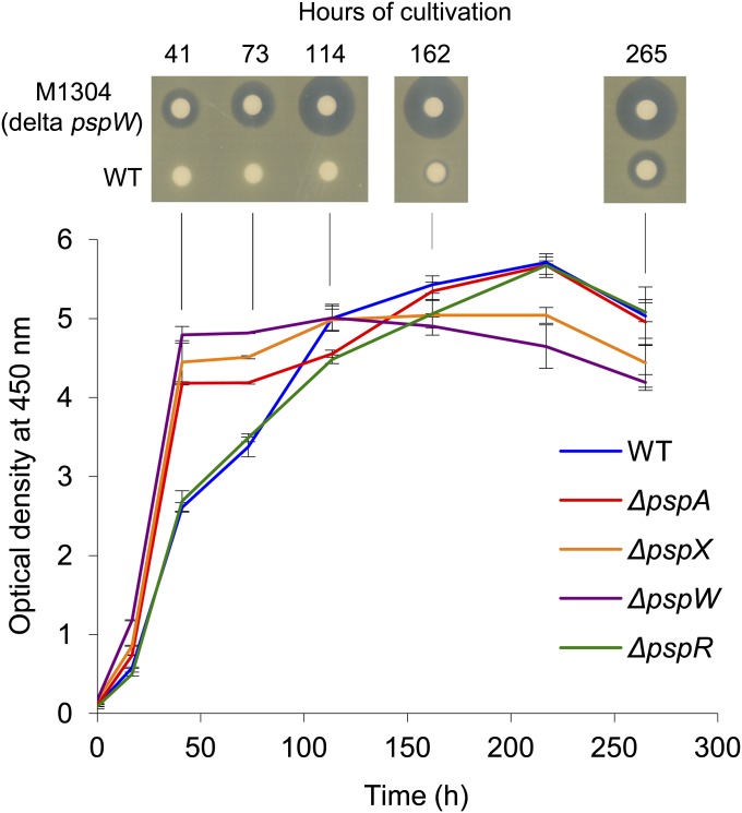 Fig. 2.