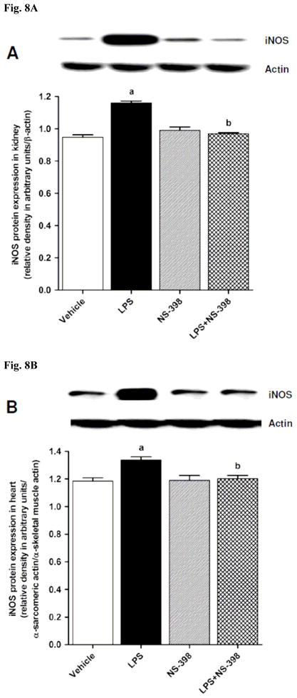 Fig. 8