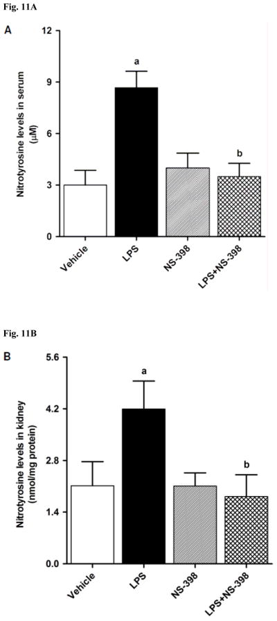 Fig. 11