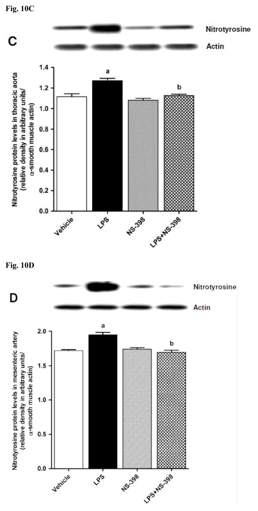 Fig. 10