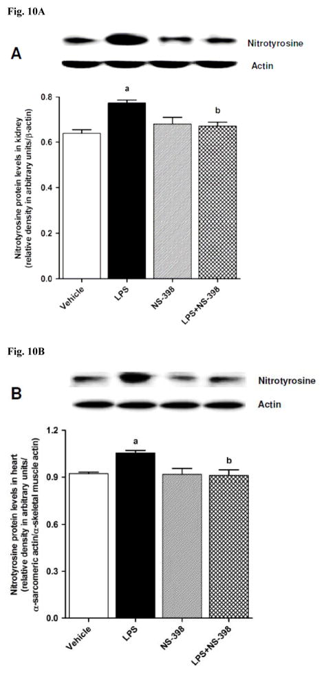 Fig. 10