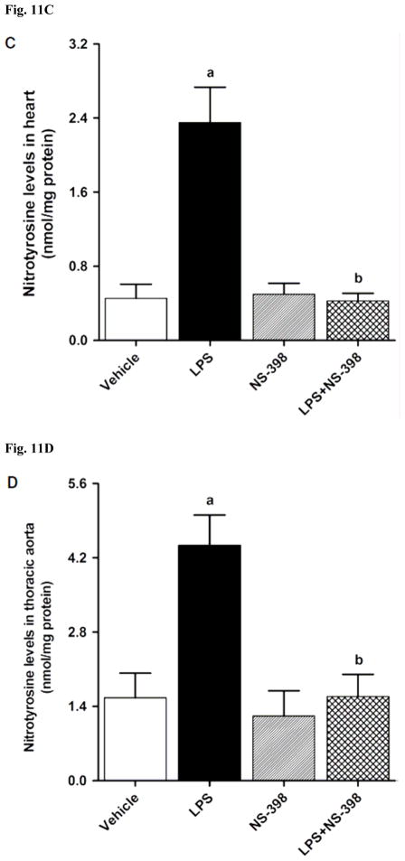 Fig. 11