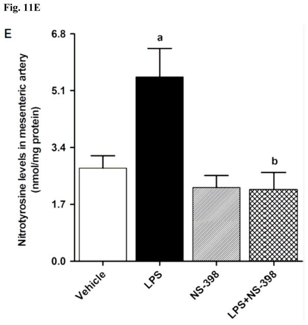 Fig. 11