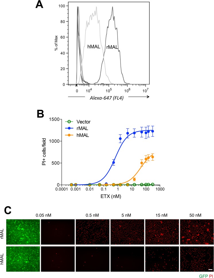 Fig 4