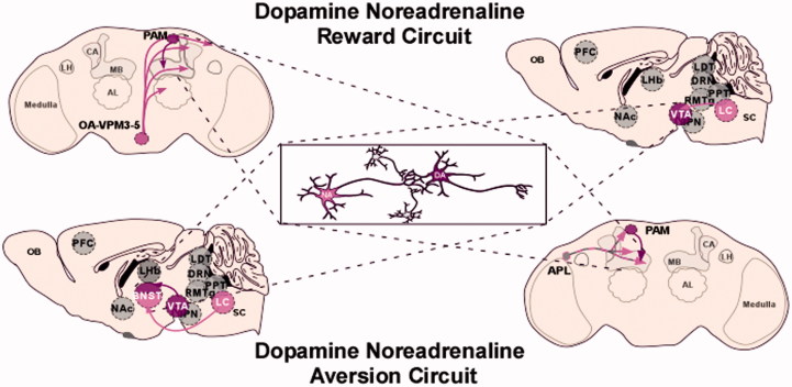 Figure 3. 