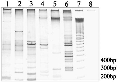 FIG. 5