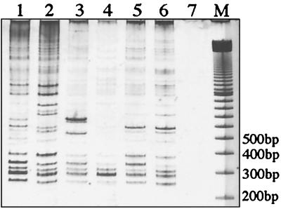 FIG. 8