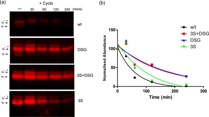 FIGURE 3: