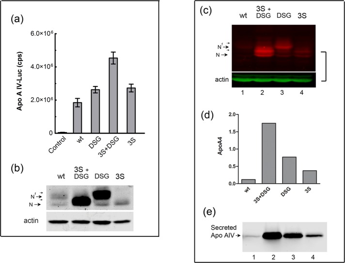 FIGURE 9: