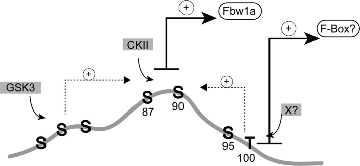 FIGURE 10: