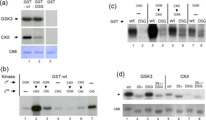 FIGURE 5: