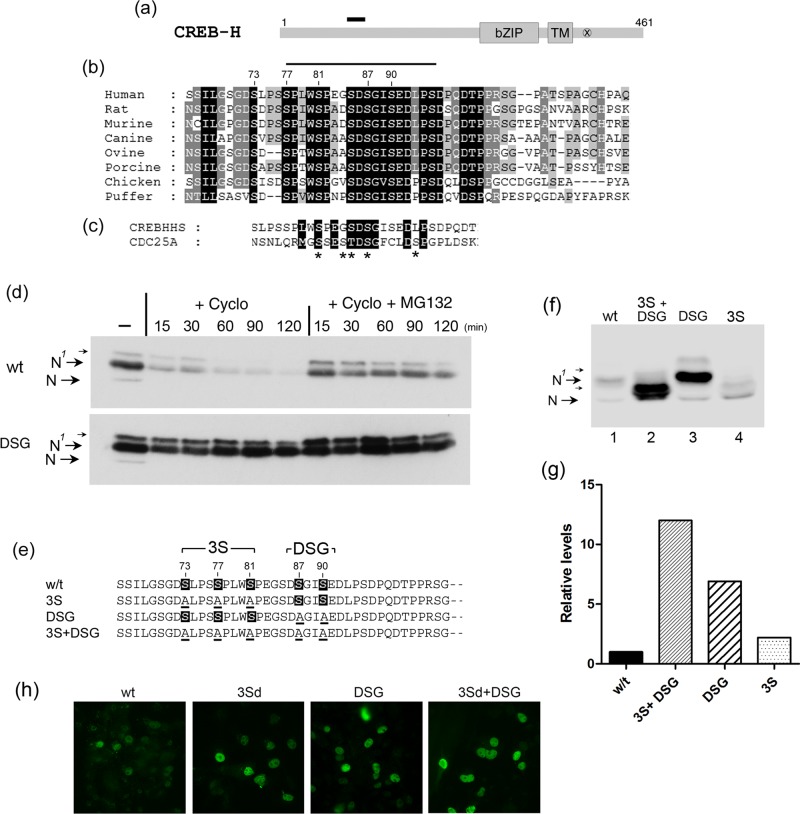 FIGURE 2: