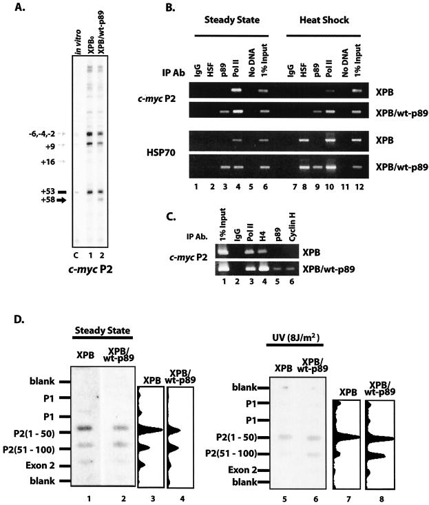 FIG. 5.