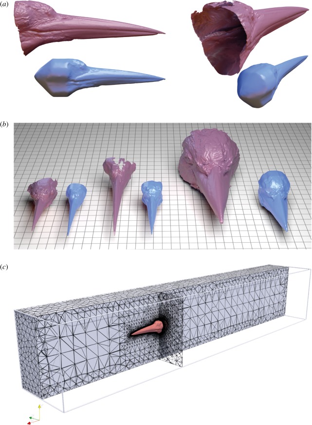 Figure 5.