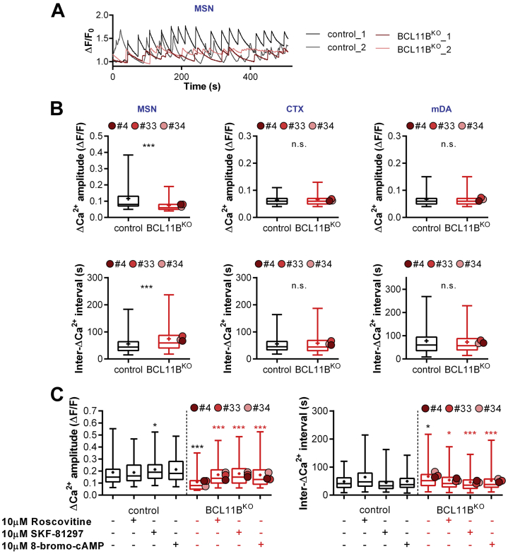 Figure 2