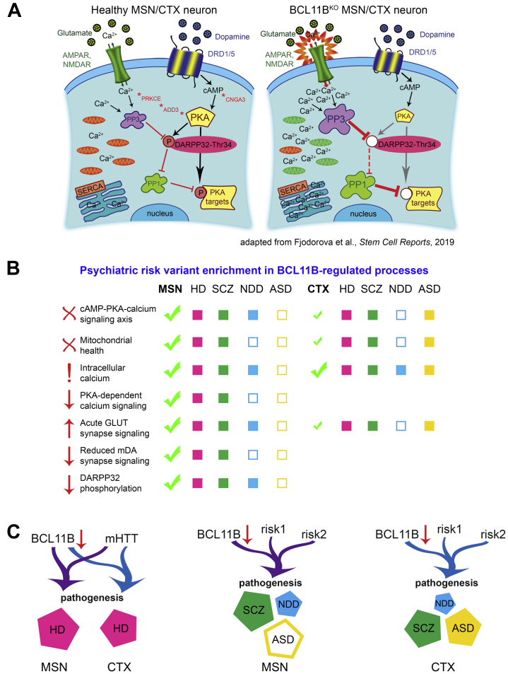 Figure 6