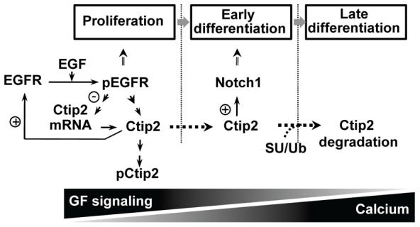 Fig. 8.