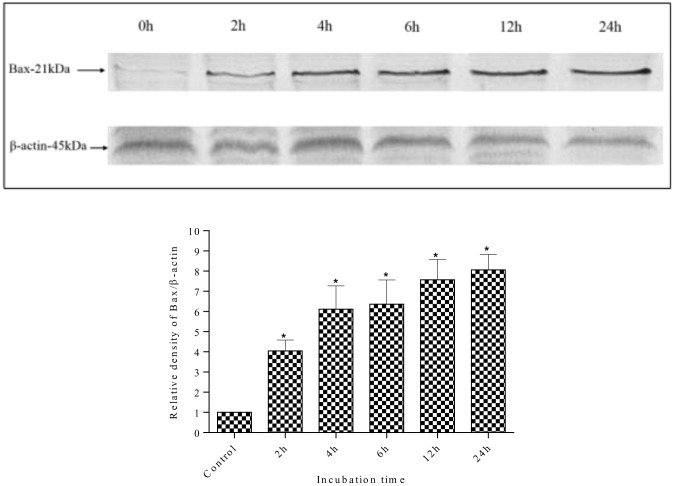 Fig 12