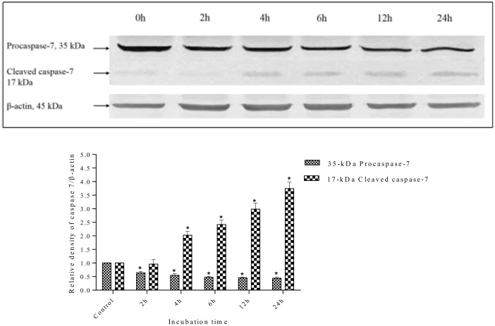 Fig 15