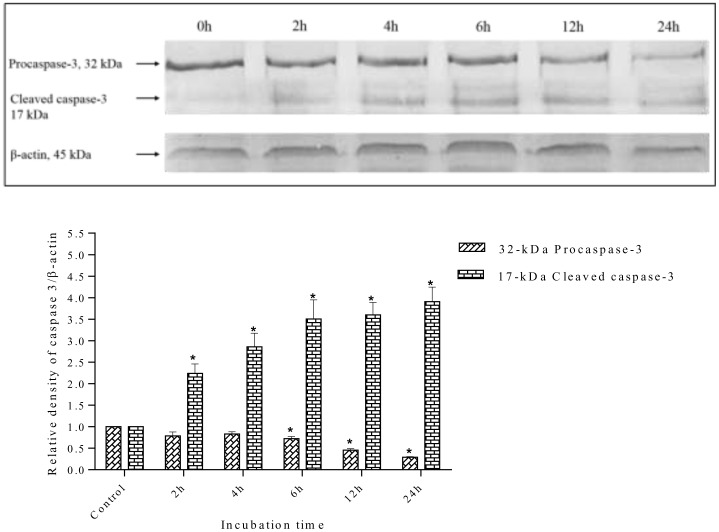 Fig 14