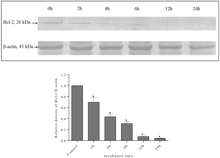 Fig 13