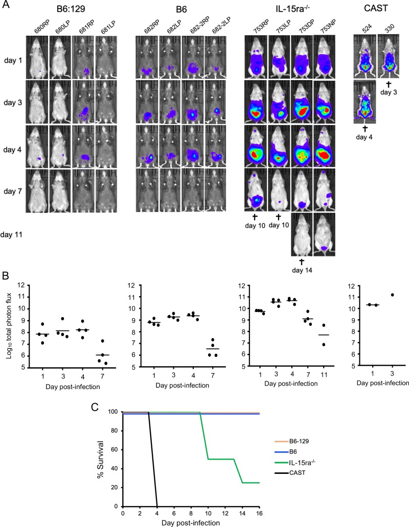 Fig 4