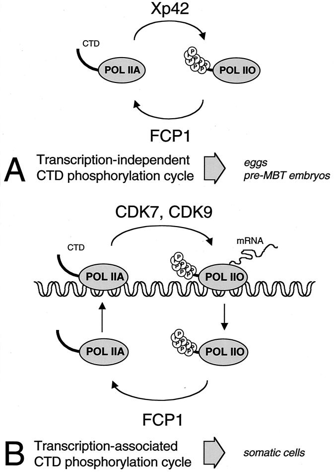 FIG. 8