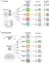 Extended Data Fig. 10 |