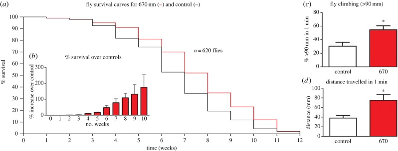 Figure 2.
