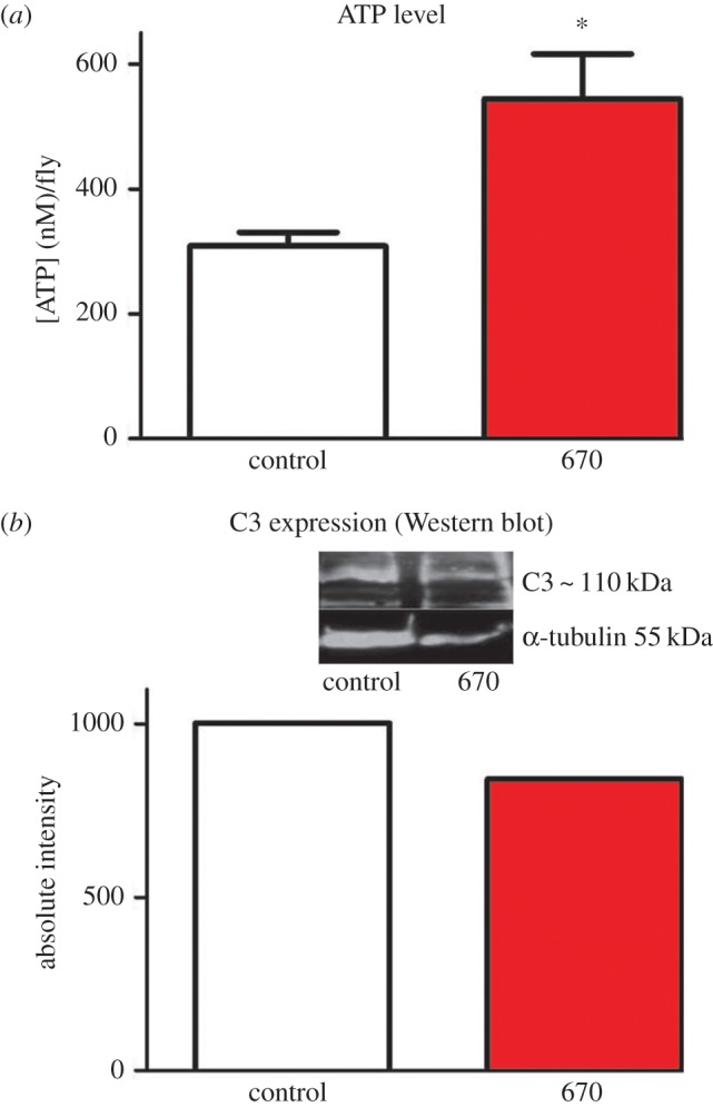 Figure 1.