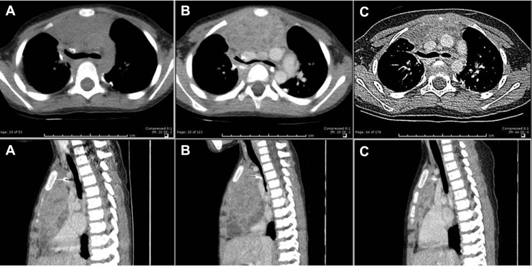 Figure 2