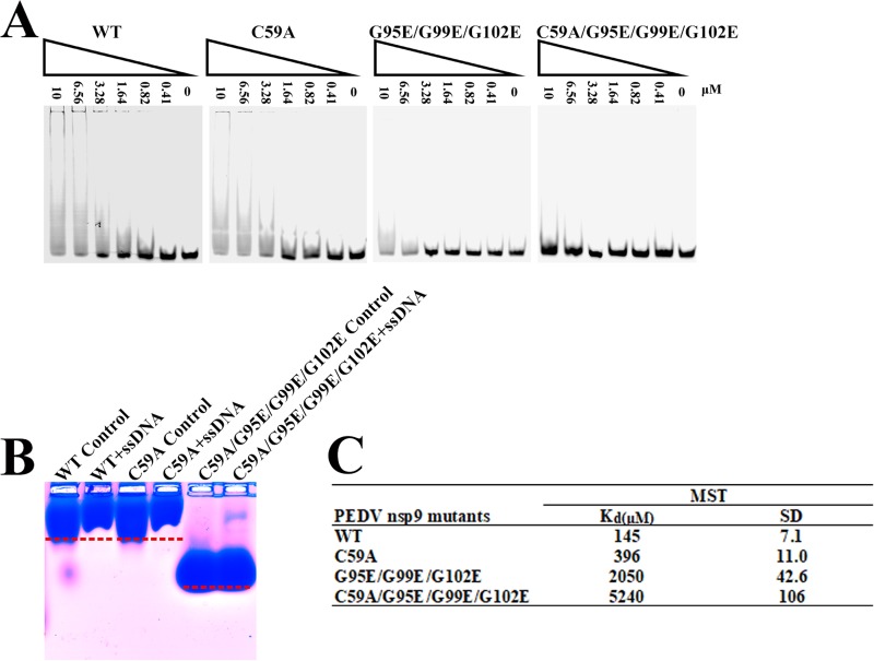 FIG 6