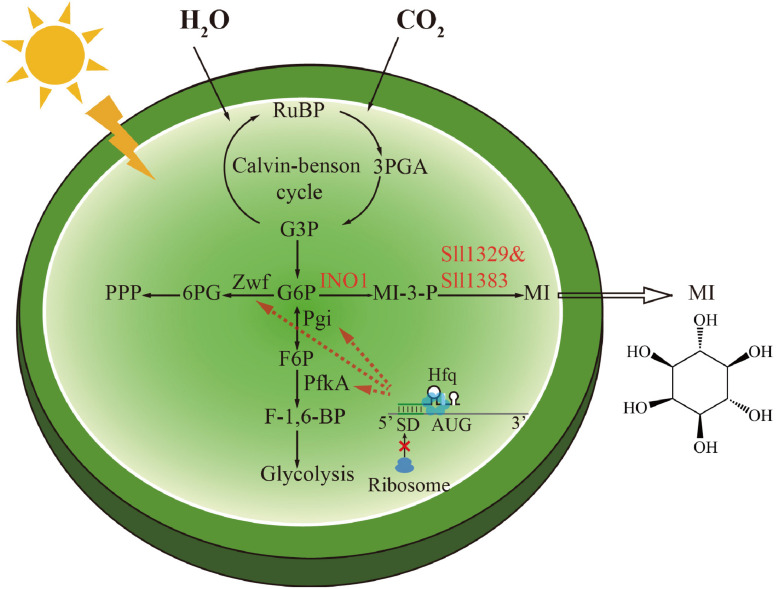 FIGURE 1